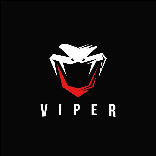 Viper.GG Esports