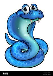 Cobra Network