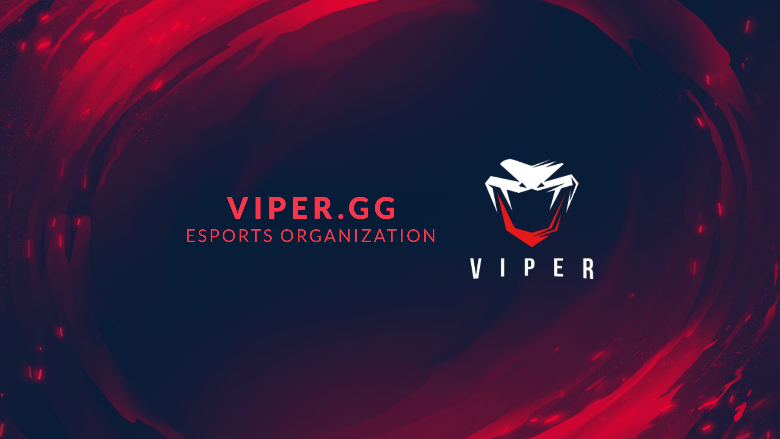 Viper.GG Esports banner