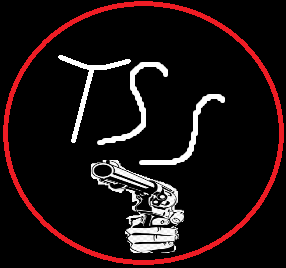 The Silent Strangers logo